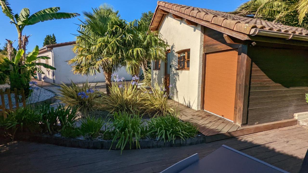 Guest House Au Milieu Des Palmiers Saint-Martin-de-Seignanx 外观 照片