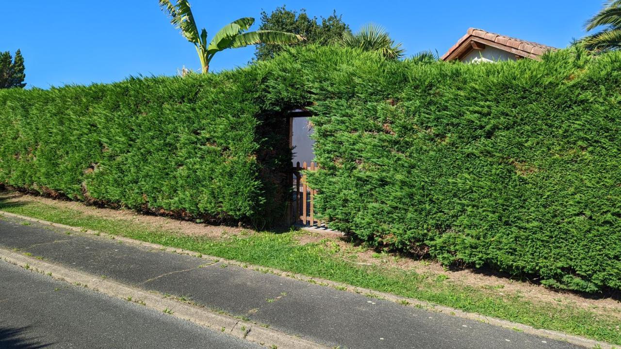 Guest House Au Milieu Des Palmiers Saint-Martin-de-Seignanx 外观 照片