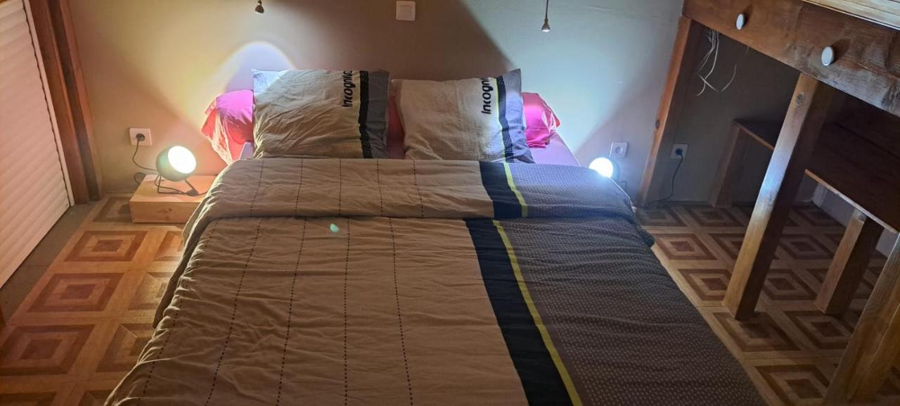 Guest House Au Milieu Des Palmiers Saint-Martin-de-Seignanx 外观 照片
