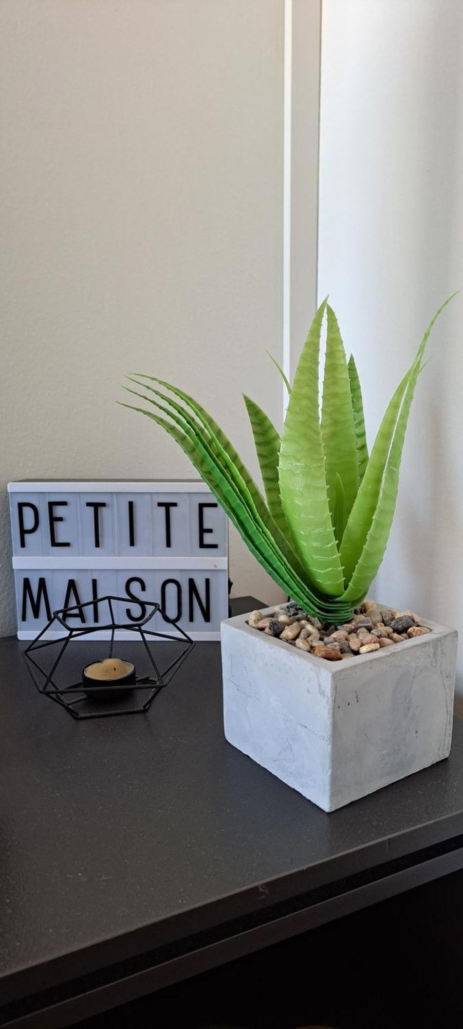 Guest House Au Milieu Des Palmiers Saint-Martin-de-Seignanx 外观 照片